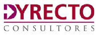 Dyrecto Consultores